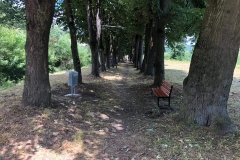 Inaugurare aleea cu tei